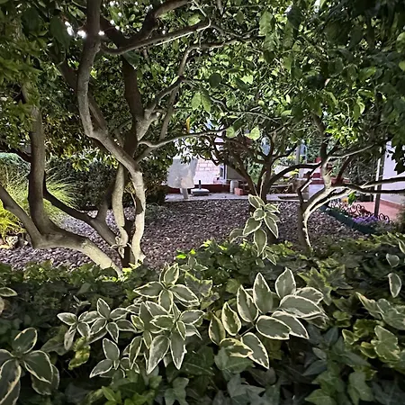 Guest house Apartments - Rooms Vesna