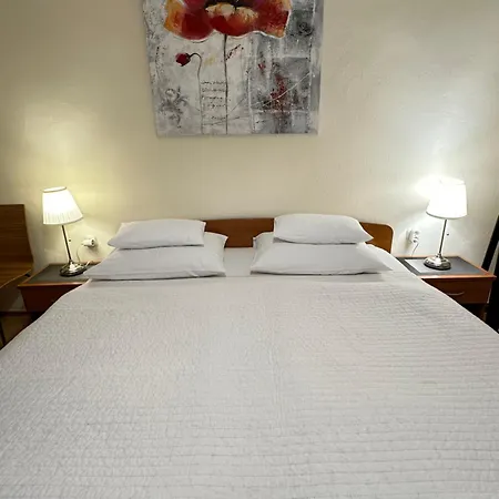 Apartments - Rooms Vesna 3*