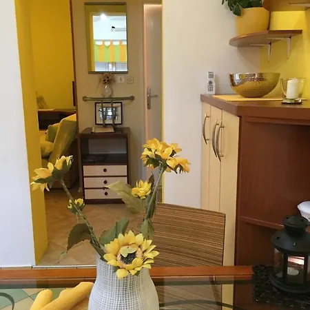 Apartments - Rooms Vesna Guest house