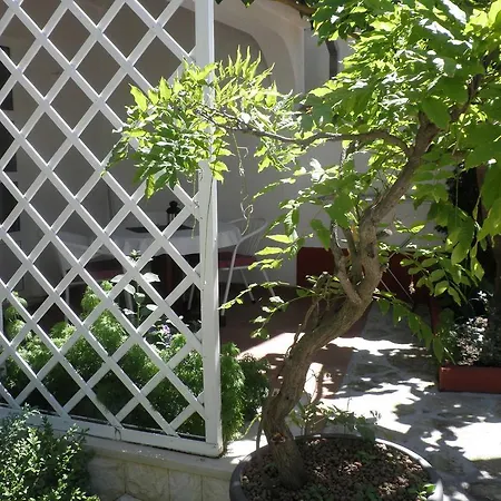 Guest house Apartments - Rooms Vesna 3*