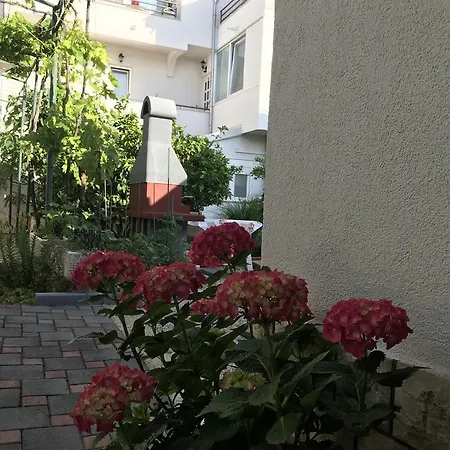 Apartments - Rooms Vesna Guest house 3*