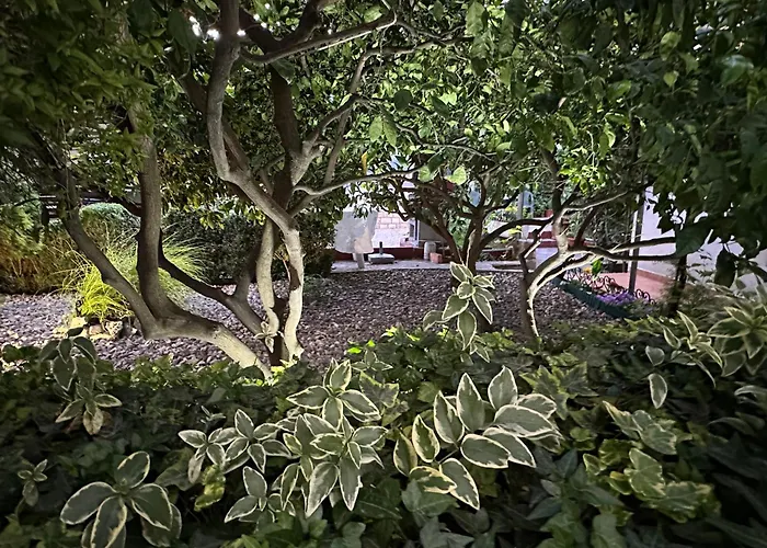 Casa de hóspedes - Vesna