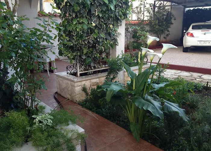 - Vesna פרימוסטן