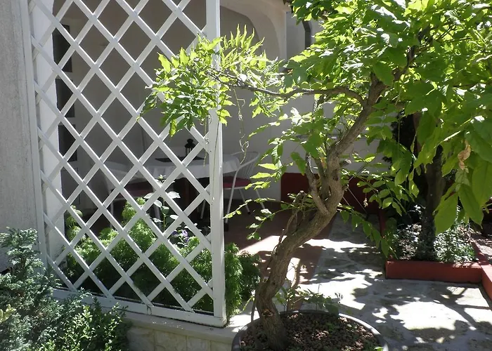 Guest house Apartments - Rooms Vesna 3*