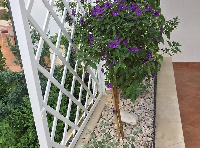 - Vesna Pensionat 3*