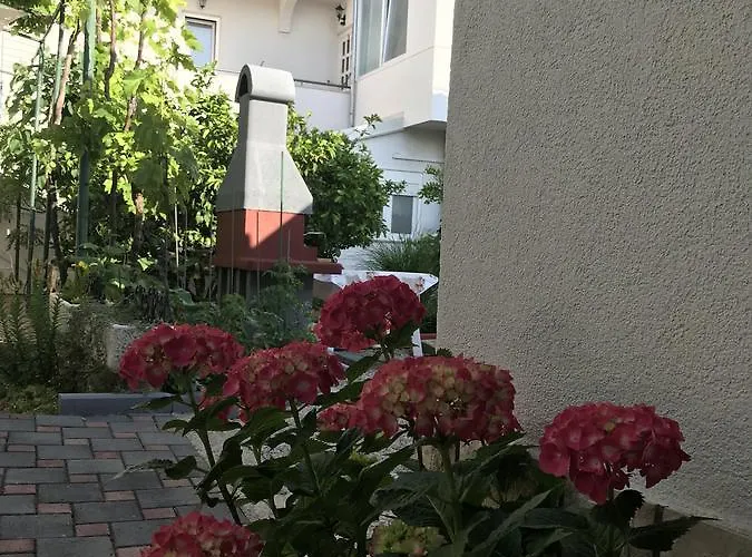 - Vesna Pensionat 3*